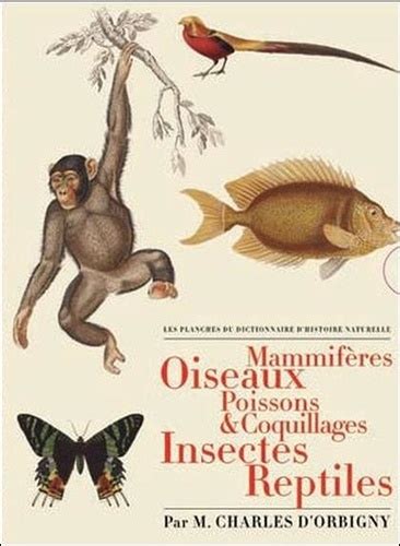 Les Planches Du Dictionnaire Dhistoire Naturelle De Charles D