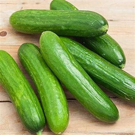 Spacemaster 80 Cucumber Seeds 50 Count Seed Pack Non Gmo Produces