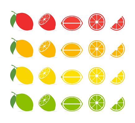 Citrus Slices Vector Isolated Icon Tropical Fruit Isolated Grapefruit Orange Lemon Lime Vector ...
