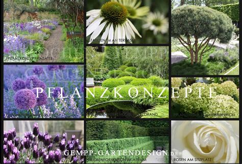 Die vielfältigen kletterrosen mit ihren charaktervollen blüten präsentieren sich am besten, wenn die mehrheit der langen triebe in die waagerechte gelenkt wird. Pflanzen / Formgehölze / Charakterbäume | Gempp Gartendesign