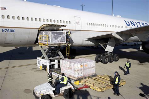 How Many Jobs Are Available In Air Freight Delivery Services