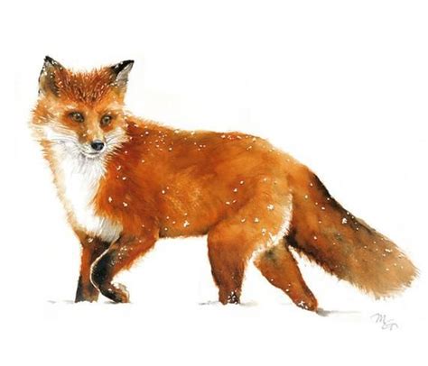Red Fox Watercolor Giclee Print Woodland Red Fox Painting Etsy Fox