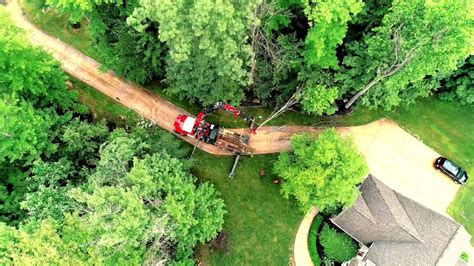 Grinding the stump into mulch is one of the fastest and most practical ways to get rid of the wood above ground. Montgomery Tree & Stump Removal - YouTube