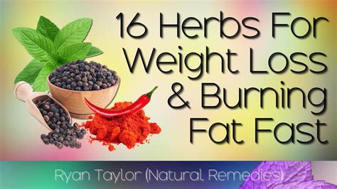 Best Herbs For Weight Loss Fast Youtube