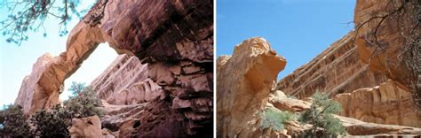 Geology Canyonlands Natural History Association