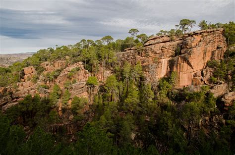 Translations of the word pinares from spanish to english and examples of the use of pinares in a sentence with their translations: Bezienswaardigheden Albarracín - ViaTioga