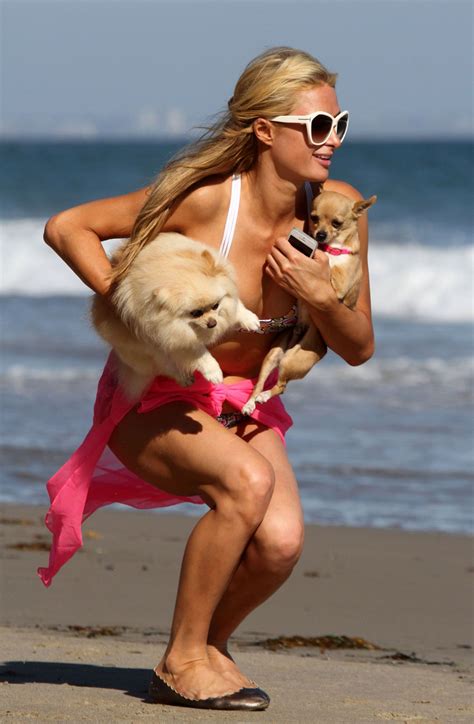 Paris Hilton Wearing A Bikini In Malibu July Celebmafia