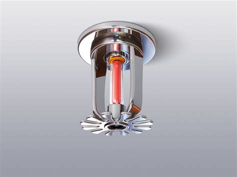 4 Main Different Types Of Fire Sprinkler System Dgs