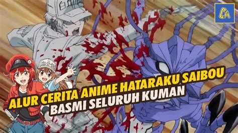 Rekap Alur Cerita Anime Hataraku Saibou Basmi Seluruh Kuman YouTube