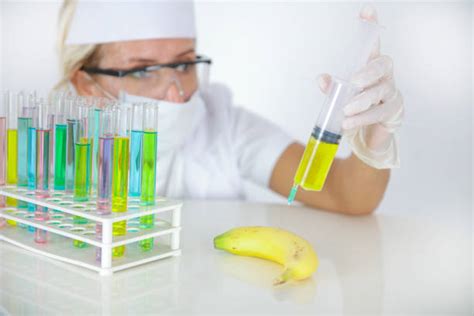 Biotechnology Lab To Develop Genetic Modification Food Stock Photos