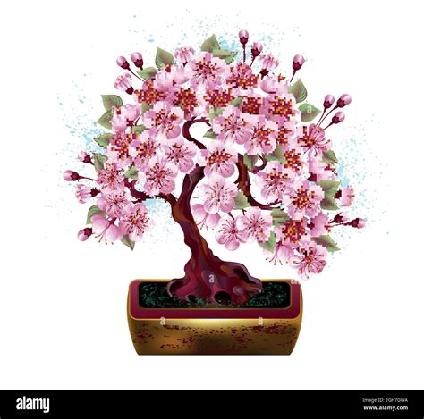 Artistically Drawn Pink Japanese Cherry Blossom Bonsai In Golden