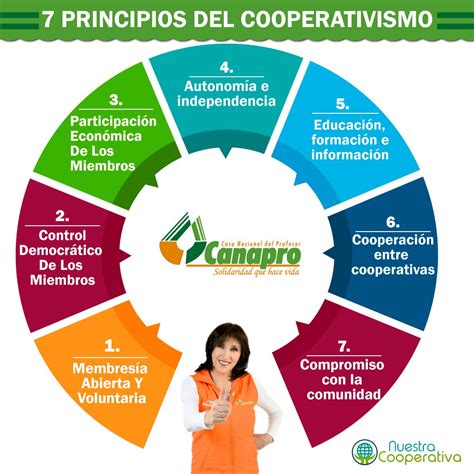 7 Principios Para Orientar A Las Cooperativas Del Mundo Educación