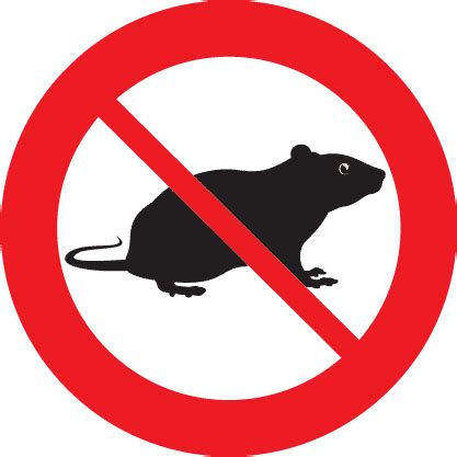 Pest Control Wagga Rat and Mice Control - Pest Control Wagga