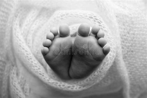 The Tiny Foot Of A Newborn Soft Feet Of A Newborn In A Blanket Close