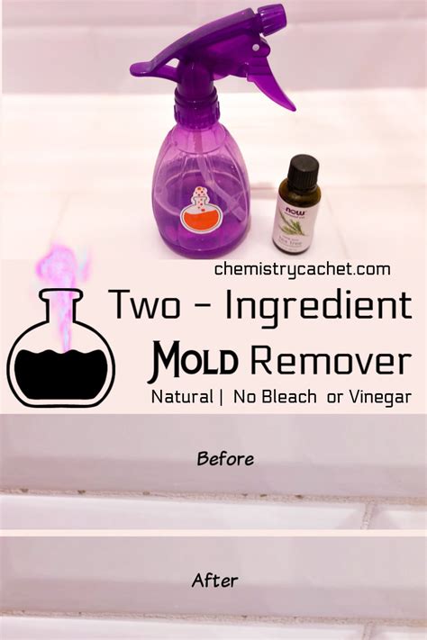 The Best Way To Remove Mold And Mildew With 2 Ingredients No Bleach
