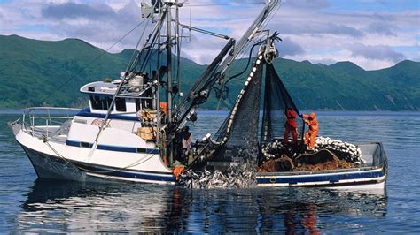 Összefoglalva, a fishing on orfű dátuma: Cleaner fuels for fishing boats could backfire on the ...