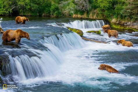 The 12 Most Stunning Entries From This Years National Geographic Photo