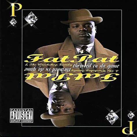 Pin On Fat Pat Album Covers