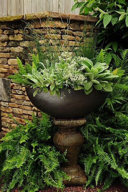 Simple Details Foliage Container Gardens