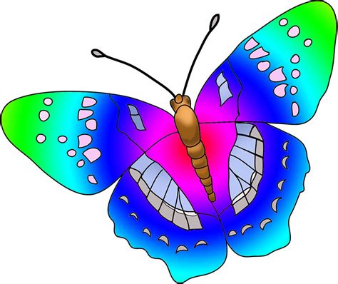 Butterflies Butterfly Clip Art Clipart 3 Clipartix