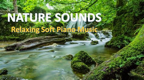 😊relaxing Music Of Nature Sounds Beautiful Soft Piano Music With