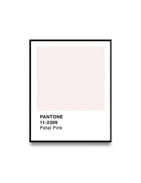 Pantone Print Pantone Pink Petal Pink Pantone Pantone Poster