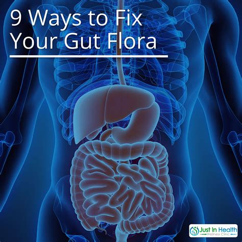 9 Ways To Fix Your Gut Flora Health Info Gut Health Gut Flora