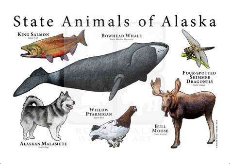 Alaska State Animals Poster Print Inkart