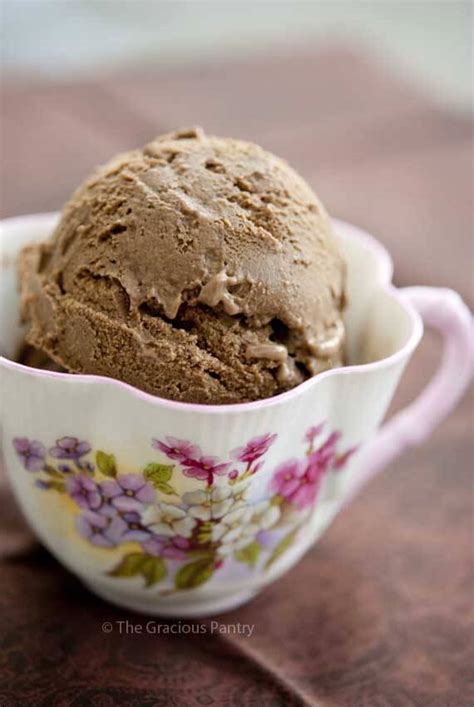 Chocolate Dairy Free Ice Cream Recipe The Gracious Pantry
