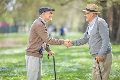Two Old Friends Meeting In Park And Shaking Hands Stock Photo Image