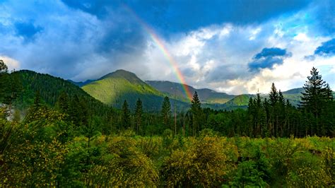 Rainbow 11 4k Hd Nature Wallpapers Hd Wallpapers Id 33608