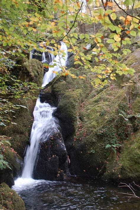 Stock Ghyll Force Ambleside Visit Cumbria