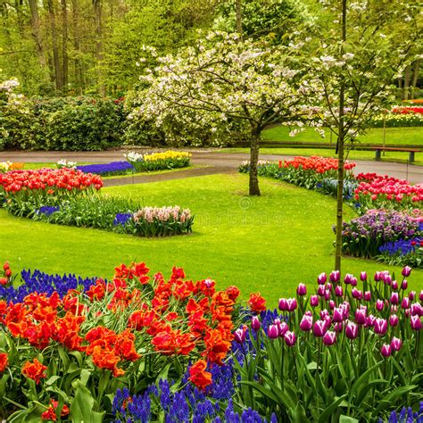 See more of olanda on facebook. Parco Keukenhof - Giardino Floreale Del Tulipano, Olanda ...