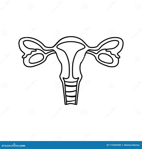Icono Del Sistema Reproductivo Femenino Plantilla Lineal Para Afiche De