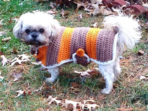 Crochet Dog Sweater Patterns You And Your Pup Will Love Craftsy