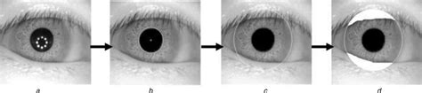 Non‐ideal Iris Segmentation Using Anisotropic Diffusion Wan 2013