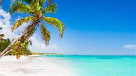 Le 5 Isole Più Belle Dei Caraibi Da Vedere In Crociera Costaclub