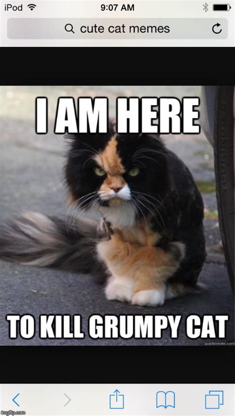 The Even Grumpier Grumpy Cat Imgflip