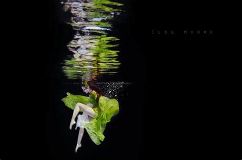 Ilse Moore Photography Band Of Outsiders Underwater Photography Art