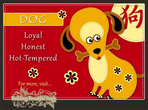 Chinese Zodiac Dog Year Of The Dog Funny Horoscopes And Funny Zodiac