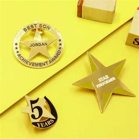 Star Pins At Best Price In India