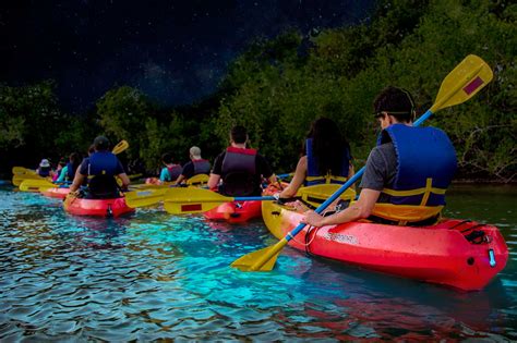 Island Kayaking Adventures Puerto Rico Bio Bay Tour