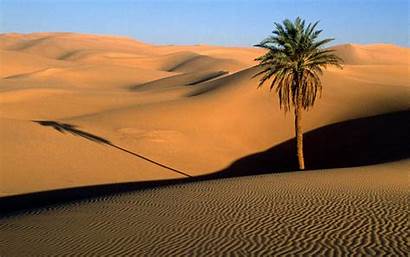 Desert Wallpapers Backgrounds Tag