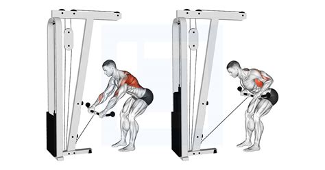 Cable Bent Over Row Guide Benefits And Form