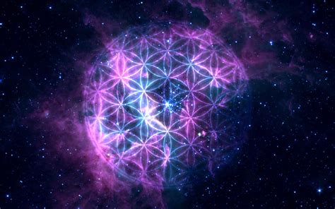 Flower Of Life Wallpapers Top Free Flower Of Life Backgrounds