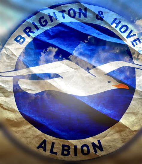 720p Free Download Brighton Hove Albion Brighton Fc Football Hd