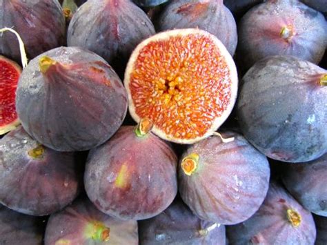 5 Easy Ideas For Fresh Figs Eating Made Easy