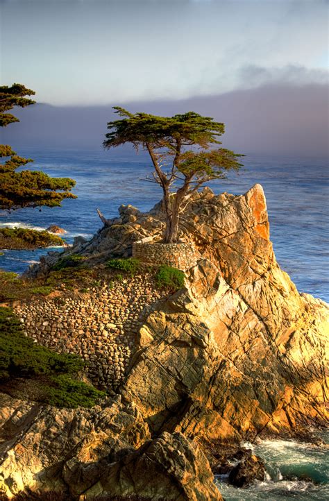 The Lone Cypress Seen Along The 17 Mile Drive In Monterey A M A Z I N