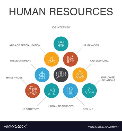 Human Resources Infographic 10 Steps Concept Job Vector Image