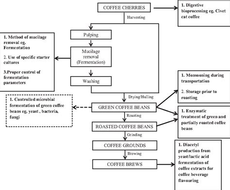 figure 1 from coffee fermentation and flavor an intricate and delicate relationship semantic